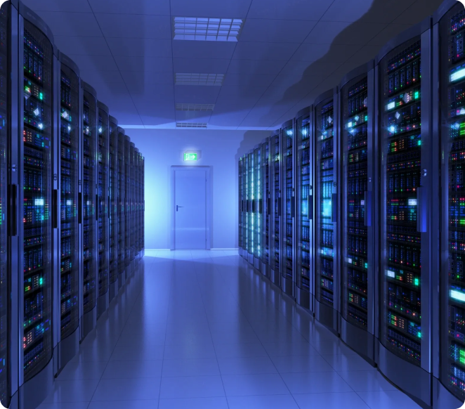 Coral Communications opens its new office in Algeria